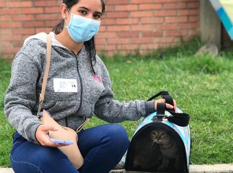 Princesa es una gatita algo tímida, ya cuenta con vacunas, desparasitación y está completamente recuperada.