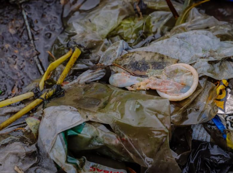 Así de desagradables se ven los pañitos, condones y toallas en alcantarillas - FOTO: Prensa Empresa de Acueducto