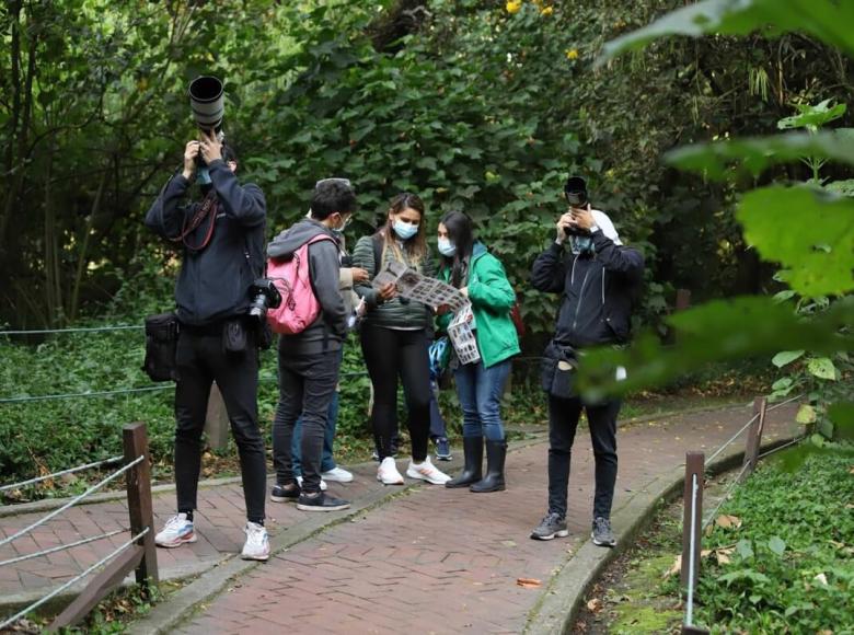 Los visitantes utilizan binoculares, lentes y guías para avistar a las aves.