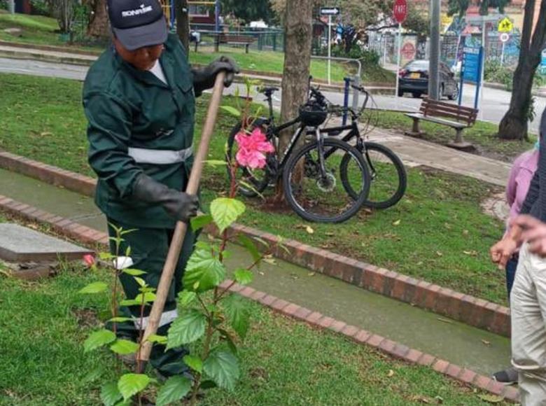 Durante la semana del 21 al 26 de febrero, el Distrito, a través del Jardín Botánico, realizó actividades de mantenimiento de la cobertura vegetal de la localidad de Chapinero, como parte de la estrategia del Distrito: #JuntosCuidamosBogotá. Foto: Jardín Botánico