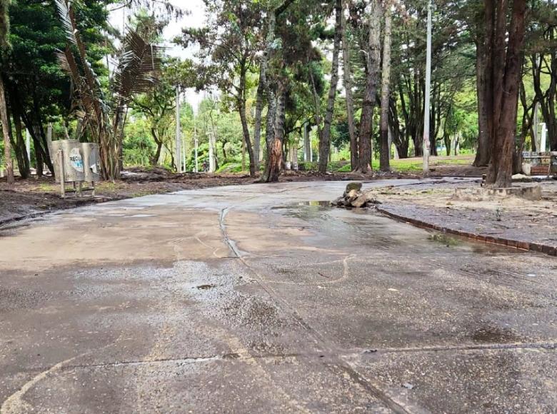 Las secretarías de Ambiente, Salud y el Jardín Botánico, se encargarán de la recuperación de zonas verdes y las acciones de fumigación y limpieza. Por esto, se recomienda a la ciudadanía no ingresar al parque durante este fin de semana.