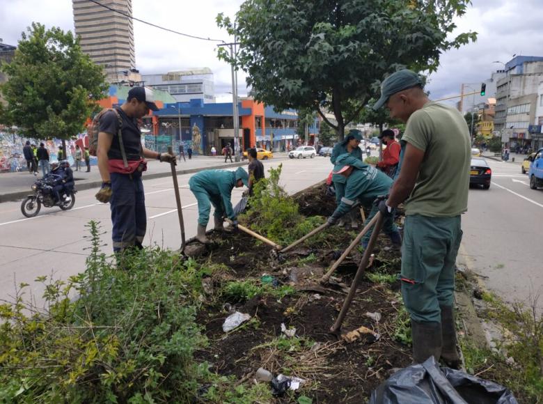 Una excavación, limpieza del terreno y preparación de la tierra fue indispensable antes de plantar en los separadores.