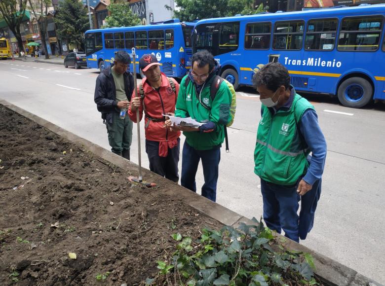 Con la recolección de la basura y la preparación de la tierra, las ocho jardineras de la avenida 19 quedaron listas para reverdecer. 