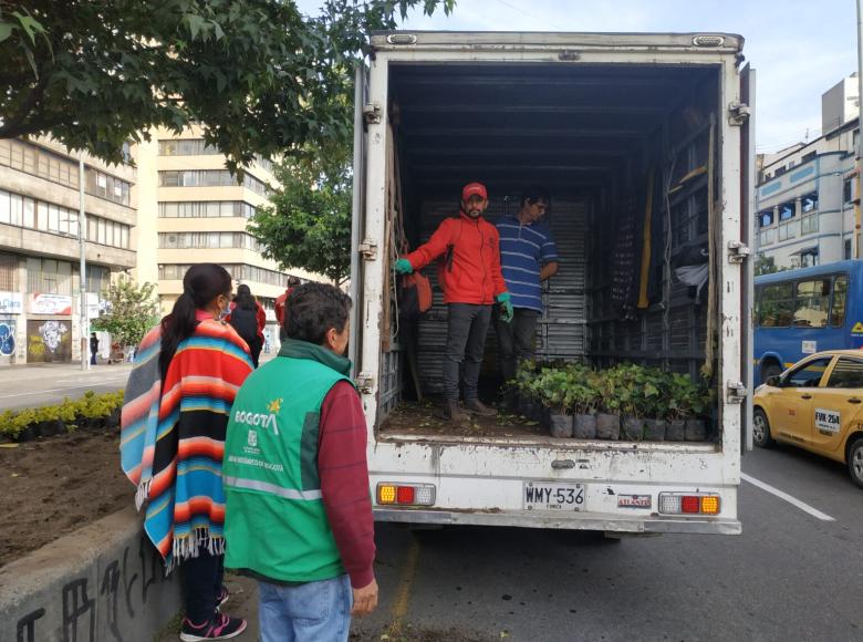 Cinco operarios de la Alcaldía de Santa Fe también apoyaron las labores de descarga y reverdecimiento del separador en la avenida 19.