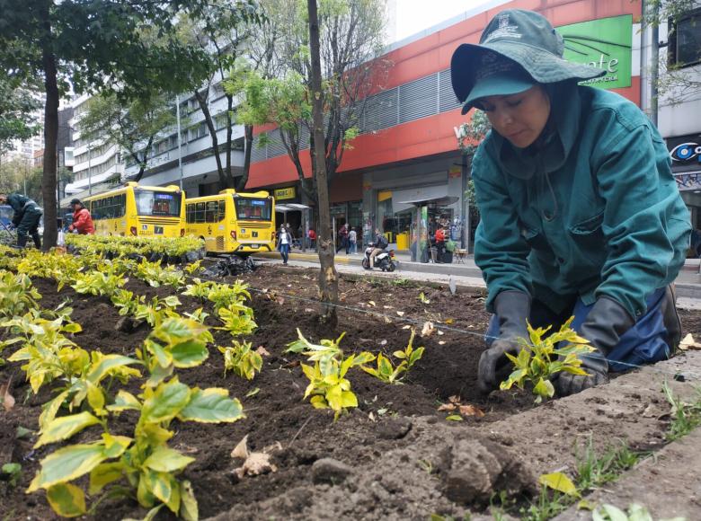 Las jardineras ahora cuentan con un diseño sencillo, clásico y un fuerte contraste de colores.