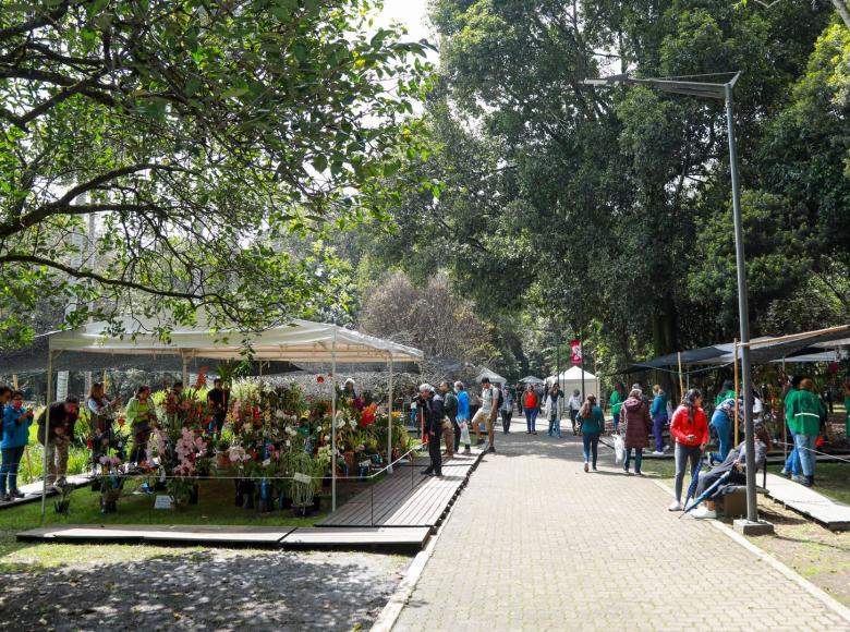 Los visitantes del evento tuvieron la oportunidad de adquirir plantas para sus hogares o para obsequiar y sorprender.