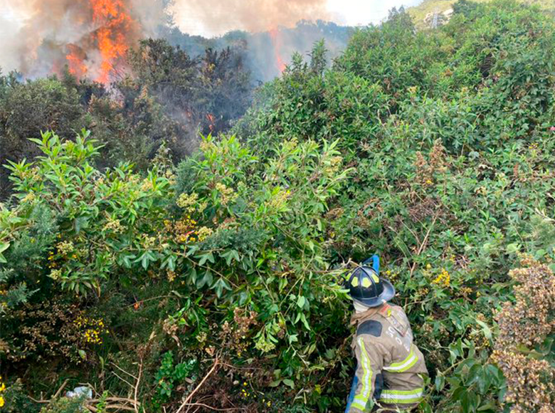 Desde que se presentó el incendio, Bomberos, en articulación con Policía, Ejército, personal del Idiger, la CAR y la Defensa Civil, atienden los incendios forestales presentados en las localidades de Chapinero, Usme y Ciudad Bolívar. 