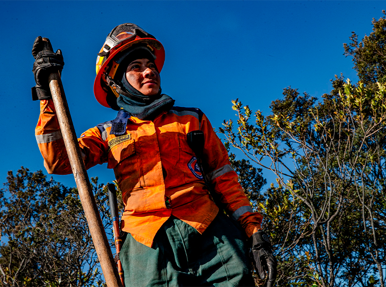 Gracias a la labor de los héroes de casco, uniforme y guantes, que han atendido la emergencia en los Cerros Orientales y a todos los ciudadanos que desde distintos sectores han contribuido con esta causa. 