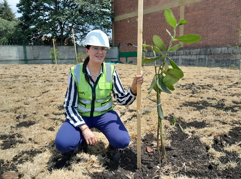  Como ingeniera forestal, Salomé Sarache se encarga de la protección de los árboles sembrados a lo largo del corredor de la avenida Guayacanes, obra donde trabaja desde hace más de 5 meses. 