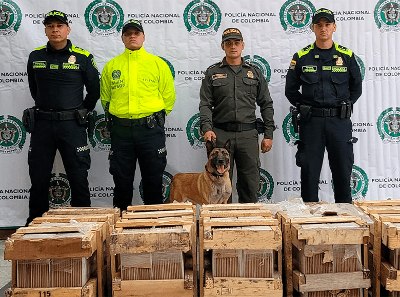 Incautados 240 kilogramos de marihuana camuflados en baldosas. De acuerdo con las autoridades, el estupefaciente tenía como origen Bogotá y destino Leticia, Amazonas.