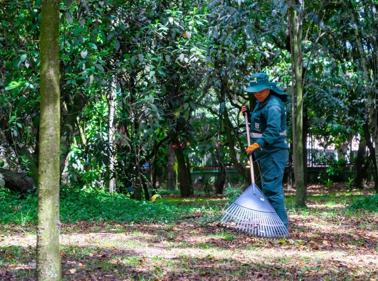 Los árboles son seres vivos que cumplen un rol clave en el mejoramiento de la calidad de vida de quienes habitamos en Bogotá.