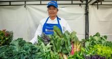 Planes en Bogota asiste a Mercados Campesinos 1 y 2 de febrero de 2025