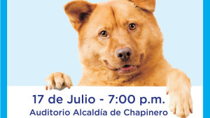 código canino 