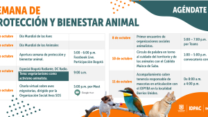 Cronograma de actividades en la Semana de Protección y Bienestar Animal.