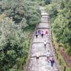 La medida del pico y cédula continua con el fin de evitar aglomeraciones.