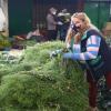 Plaza Samper Mendoza, famosa por su variedad en plantas medicinales