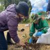 Plantación de 485 árboles en el humedal Capellanía en Fontibón Bogotá 