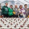 Alcaldía y Fundación Éxito entregaron la primera Terraza Verde de Bogotá