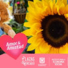 Día del Amor y Amistad en Bogotá: encuentra regalos en ferias y plazas