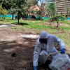 Distrito avanza en control de roedores e insectos en Parque Nacional 