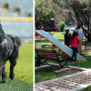 Parques para mascotas en Bogotá 2024 visítalos