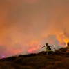 Estas son las cifras relevantes que no conocías de Bomberos Bogotá ¡Conócelas! 