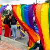 Elecciones atípicas al Consejo Local LGBTI de Bosa en Bogotá 