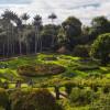 Jardín Botánico de Bogotá recibió acreditación internacional de BGCI