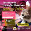 Jornada de esterilización de perros y gatos en Bogotá localidad Bosa