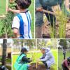 Día de la Bogotaneidad se vistió de verde con Jardín Botánico Bogotá