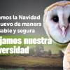 En Bogotá en Navidad decimos NO a la pólvora y protegemos la fauna