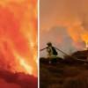 Bogotá trasladó equipos para atender incendio forestal en Chingaza