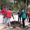 El Jardín Botánico lidera la arborización y mantenimiento en Bogotá