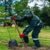 El Jardín Botánico lidera la arborización y mantenimiento en Bogotá