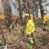 Quema forestal en Bogotá fue controlada por los bomberos 