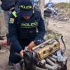 Distrito encontró bodega de reciclaje que ocultaba autopartes robadas