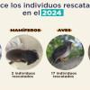 El Metro de Bogotá protege la fauna silvestre presente en las obras