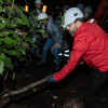 Plantación de árboles en Bogotá por la Avenida 68 en el grupo cinco