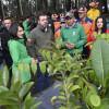 Bogotá plantó 1400 arboles Cerro El Cable afectado por incendios 2025