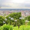 Bogotá reabre Parques Distritales Ecológicos de Montaña y Reservas de Humedales 