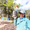 Bogotá celebra el Día Internacional de los Bosques plantando árboles