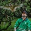 Liberación aves en Bogotá durante Día Mundial de Vida Silvestre 2025