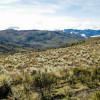 Sumapaz es la localidad más alta de Bogotá y un tesoro natural único