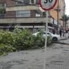 Con técnicos en campo, Codensa enfrenta emergencias - FOTO: Prensa IDIGER