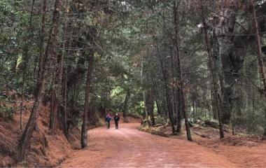 En Bogotá hay 8 senderos ecológicos para practicar senderismo