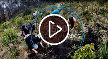 El Jardín Botánico y Full Gas sembraron 2.500 árboles - Foto: YouTube Jardín Botánico de Bogotá.