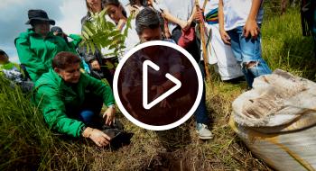 Imagen de Claudia López sembrando un árbol en la reserva Thomas van der Hammen