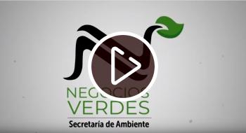 Imagen que dice Negocios verdes Secretaría de Ambiente 