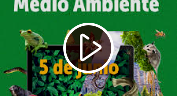 Día Mundial del Medio Ambiente.