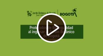 Imagen con fondo verde que dice: protocolos de bioseguridad al ingresar al Jardín Botánico.